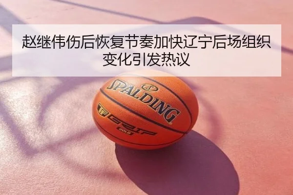 赵继伟伤后恢复节奏加快辽宁后场组织变化引发热议